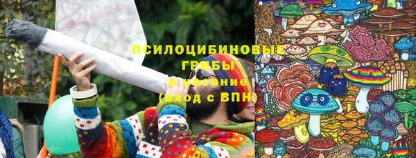 гидропоника Абаза