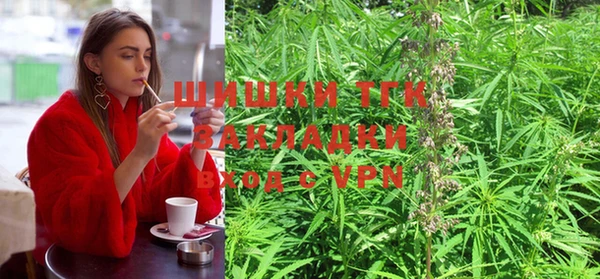 гидропоника Абаза